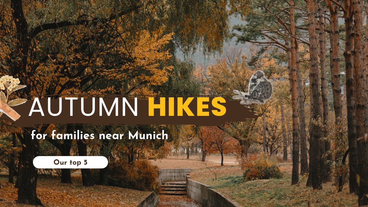 Autumn hikes for families near Munich: golden autumn trees along a path